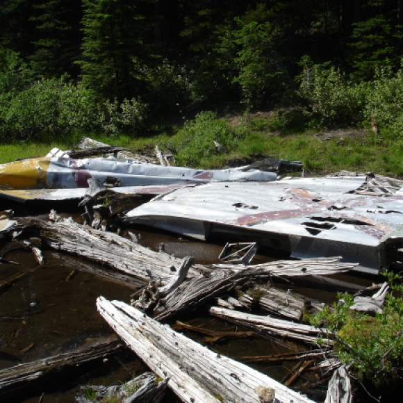 The vertical stabilizer and rear fuselage in 2008. The tail bears the red "X" that was applied to many of the largest parts to mark the site as a known wreck.